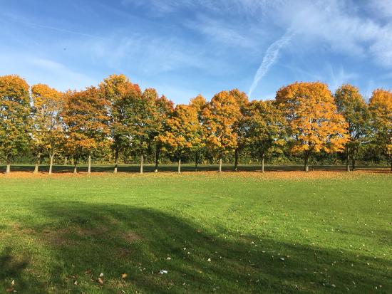 Met League – Stevenage – Sat 12 Nov 2016