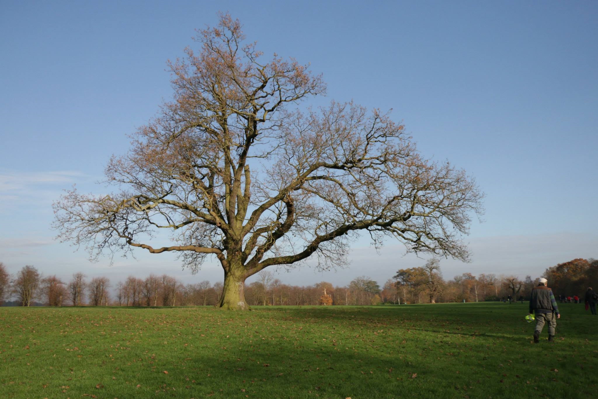 Fraternity/Sorority Cups & North West London League – Trent Park – Sat 24 Nov 2018